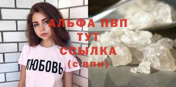 spice Богородицк