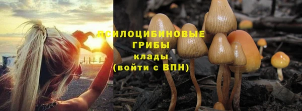 винт Бугульма