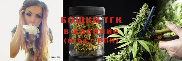 дживик Бородино