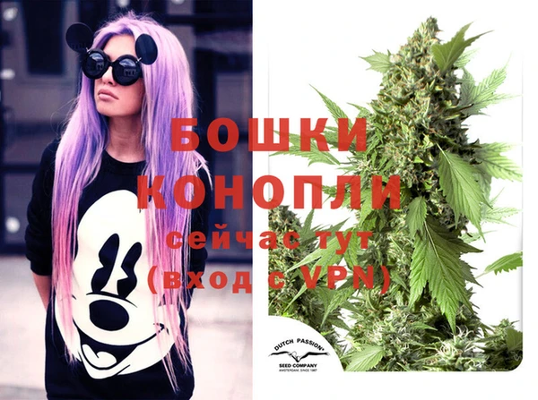 герыч Бронницы
